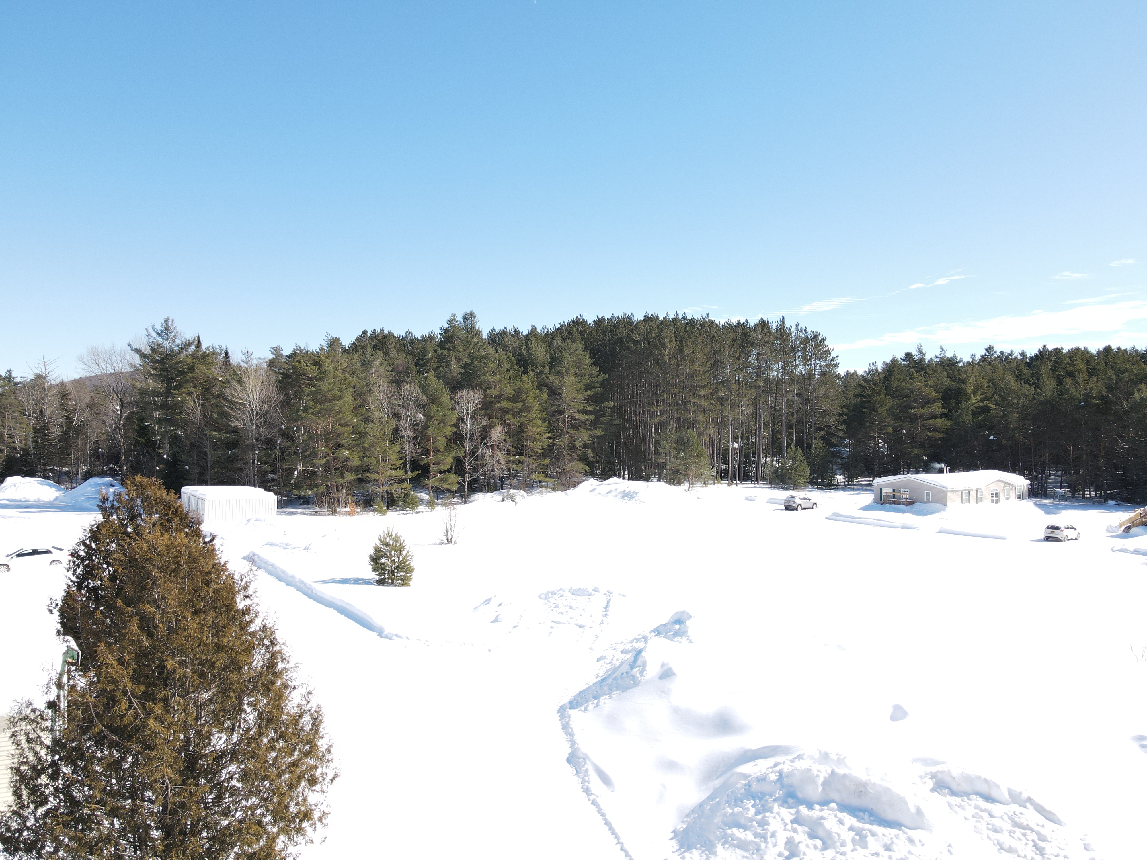 Birch Park