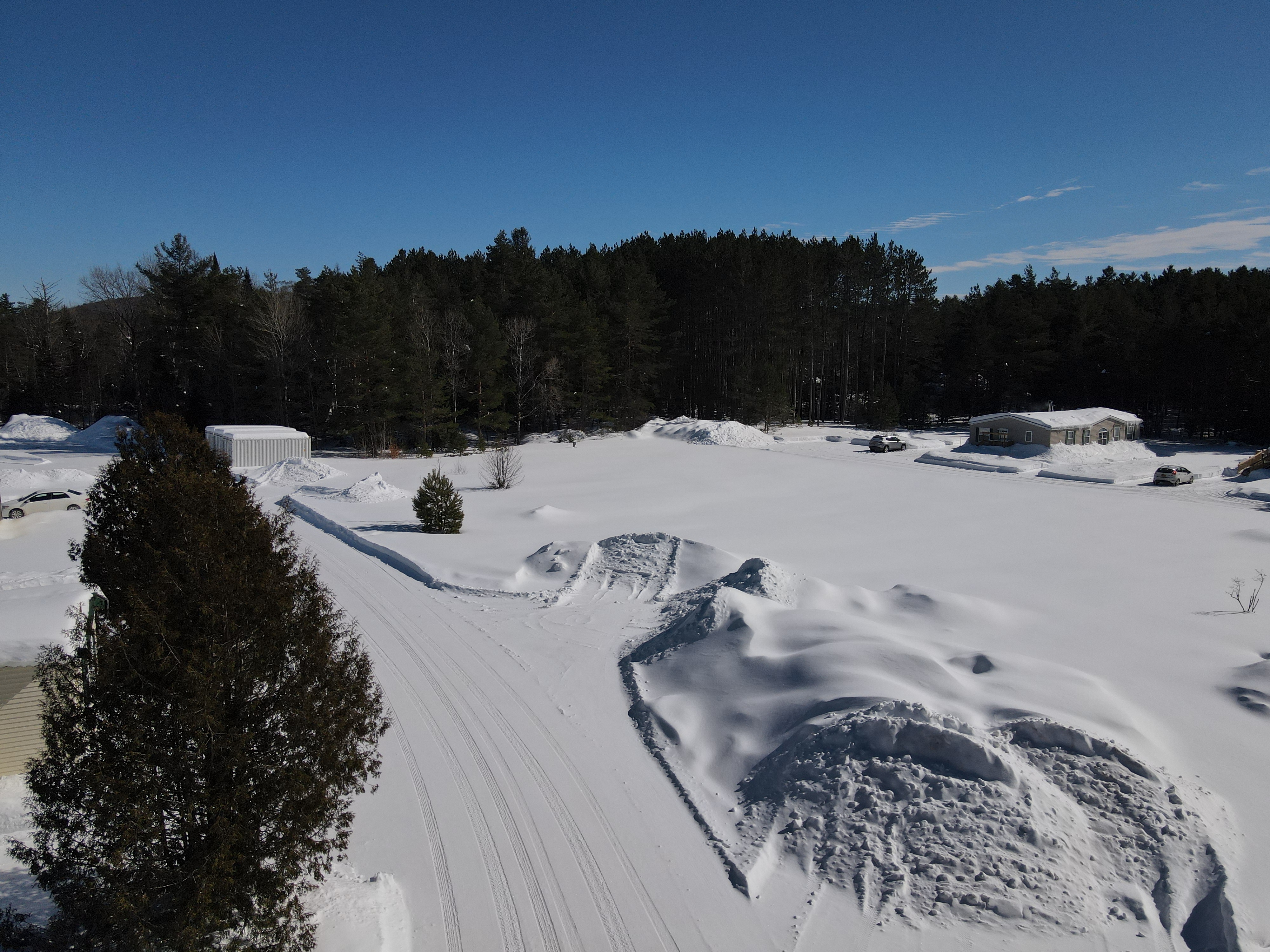 Birch Park